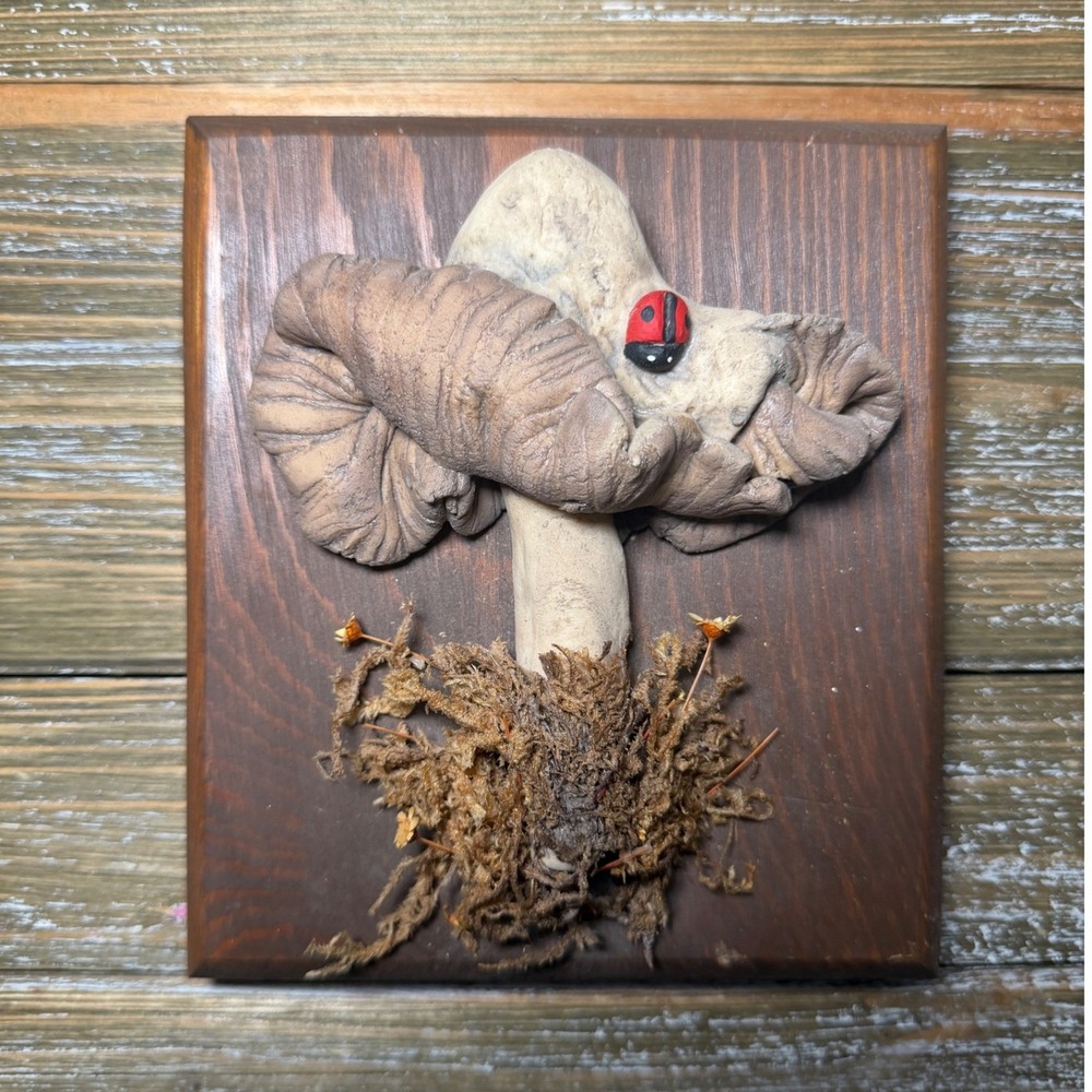 Vintage Mushroom Wall Art 70s Brown Rustic Cottagecore Fairycore Farmhouse MCM